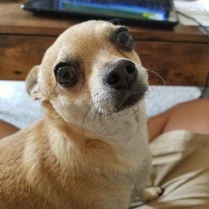 Meet your Posher, Mark